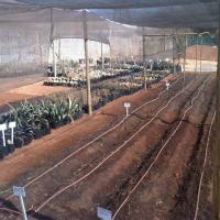 1img00599 20120711 1052